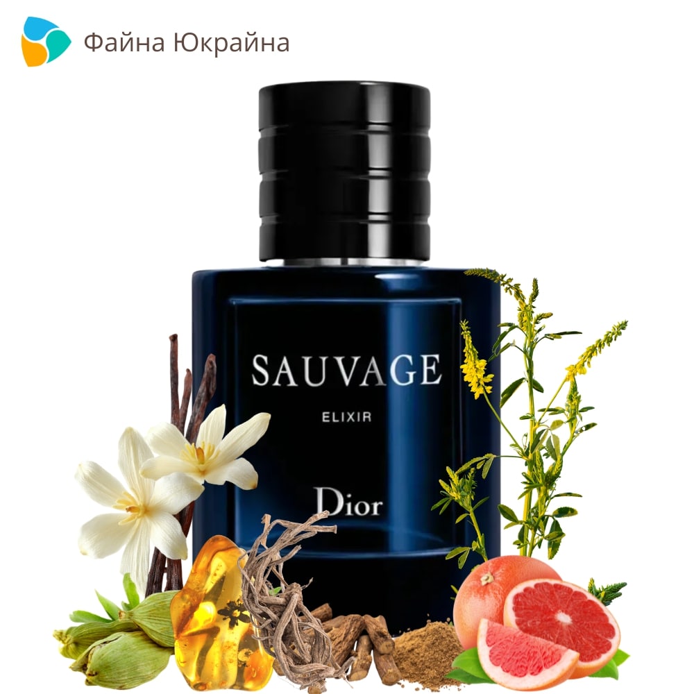 Економічний аспект: чи виправдана ціна