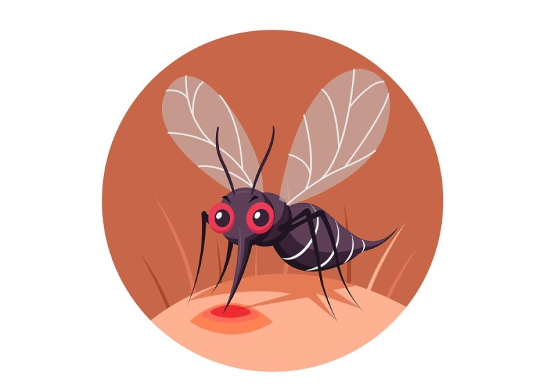 7 причин, чому ви привабливі для комарів – 2