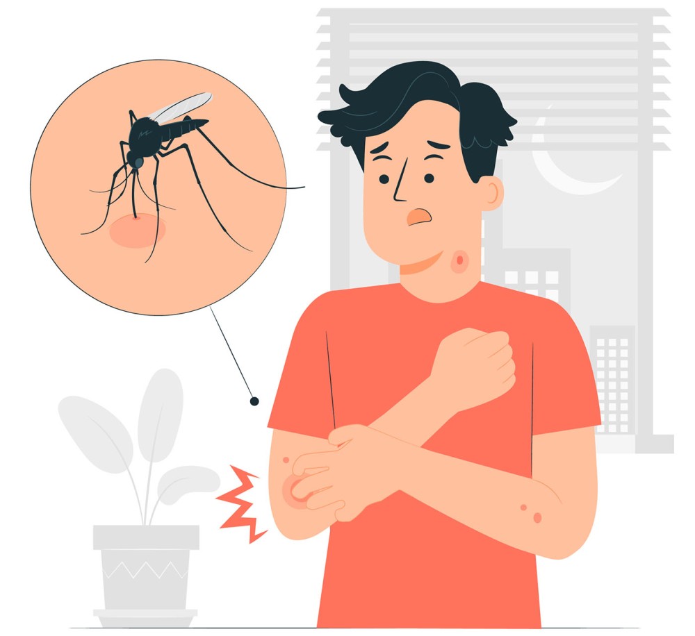Як позбутися комарів та інших кровосисних комах