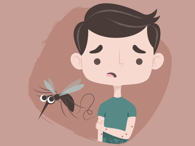 Як позбутися укусу комара і чим лікувати свербіж