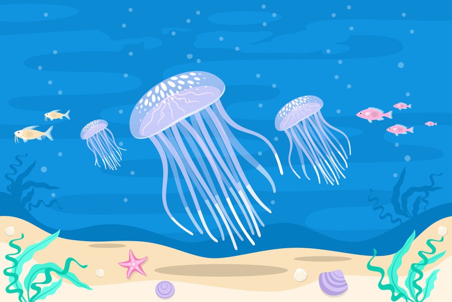 Що робити, якщо вжалила медуза