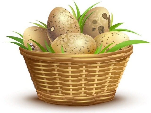 Скільки і як правильно варити перепелині яйця