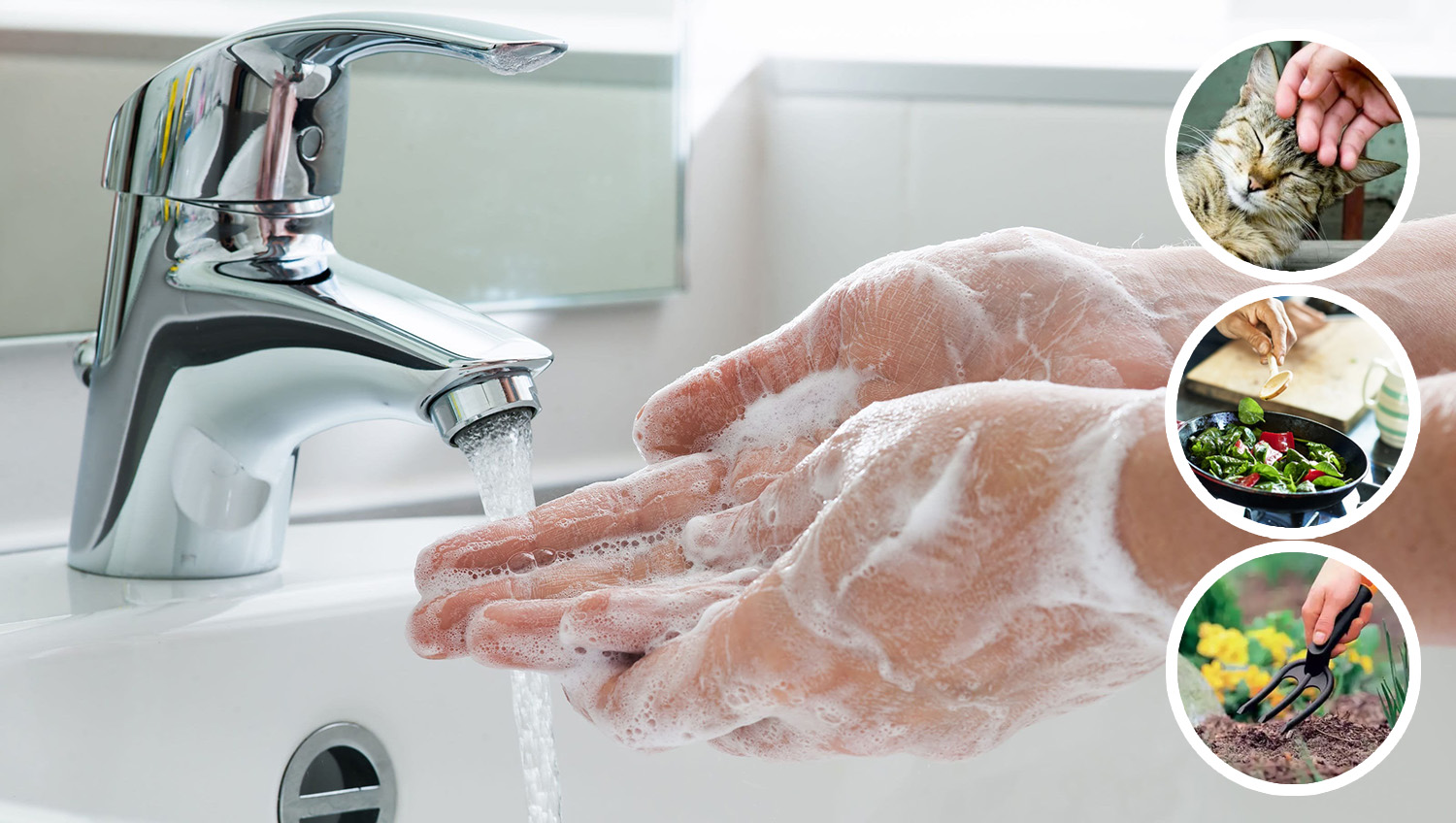 Коли варто мити руки?